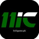 11ic Game