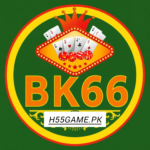 BK66 Game