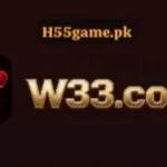 W33 Game