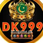 DK999 Game