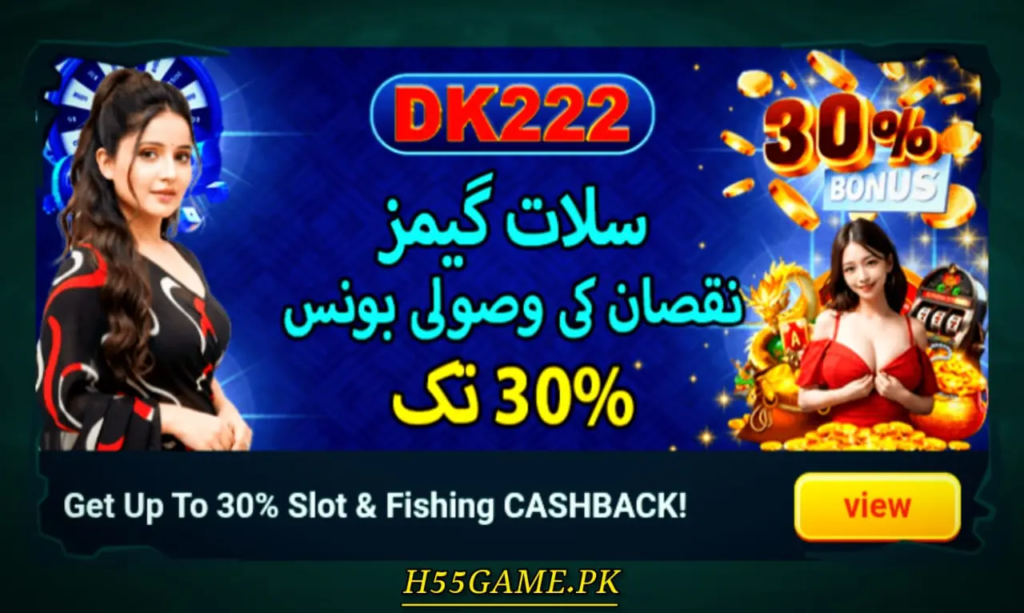 DK222 Game