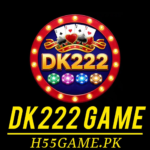 DK222 Game