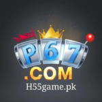 P67 Game
