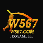 W567 Game