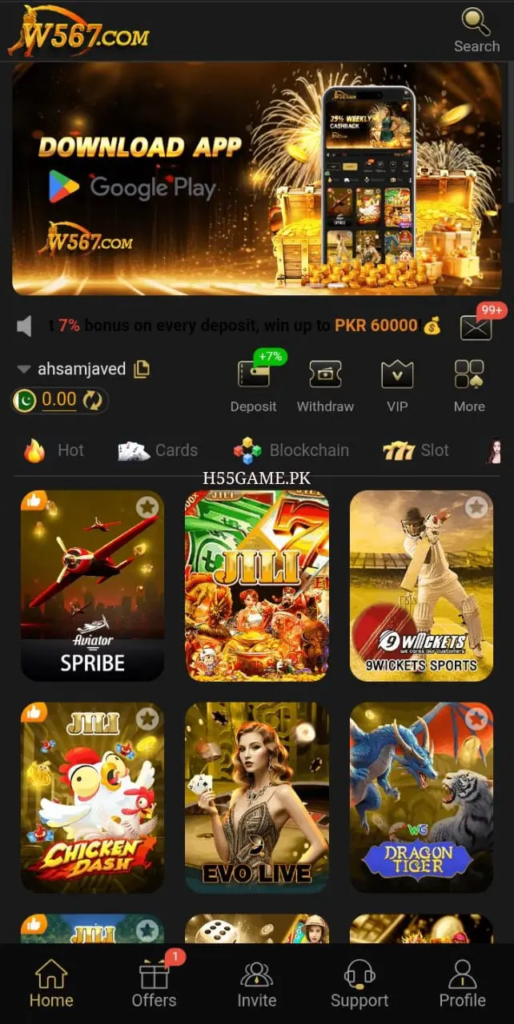 W567 Game