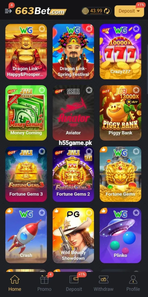 663 Bet Game