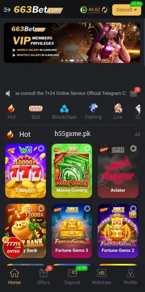 663 Bet Game