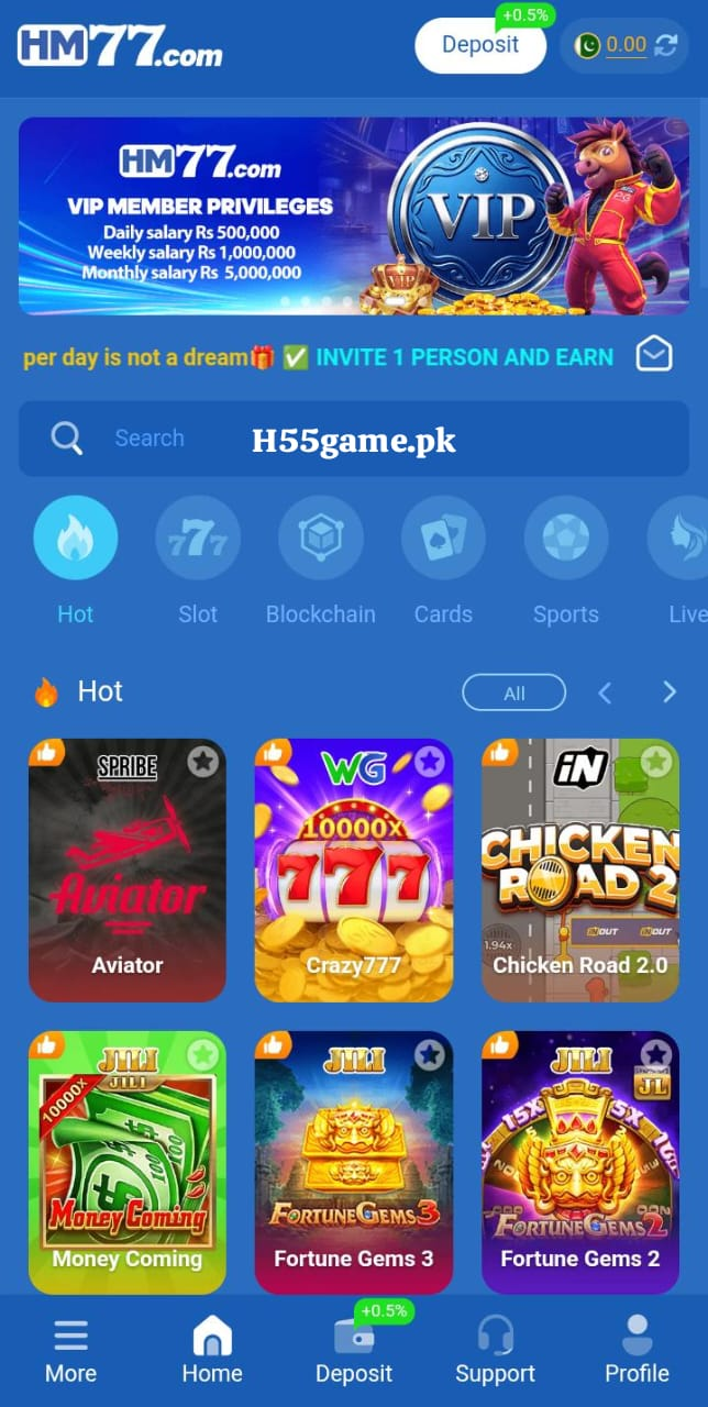 HM77 Game