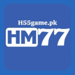 HM77 Game
