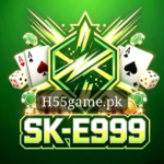 E999 Game