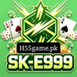 E999 Game