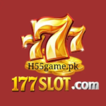 177 Slot Game