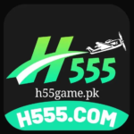 H555 Game