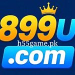 899U Game